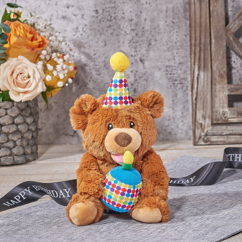 Happy Birthday Bear Plush, plush gift, plush, teddy bear gift, teddy bear, birthday gift, birthday, Canada delivery