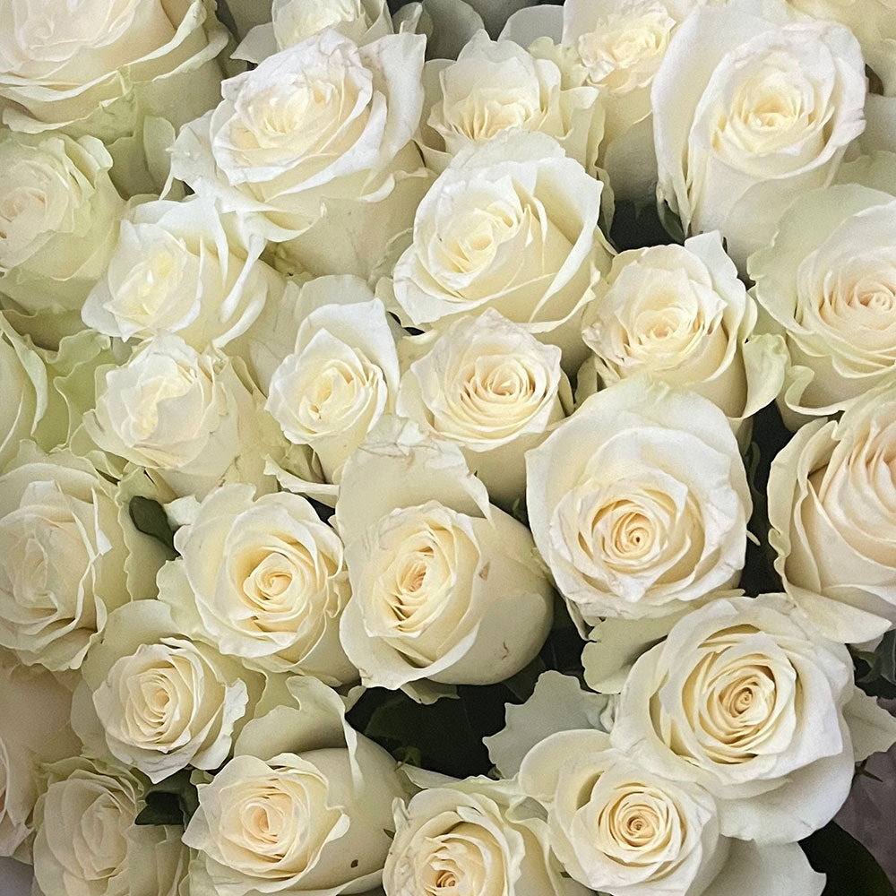 White Rose Bouquet