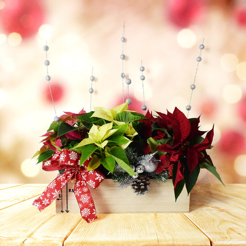 Colorful Christmas Bouquet